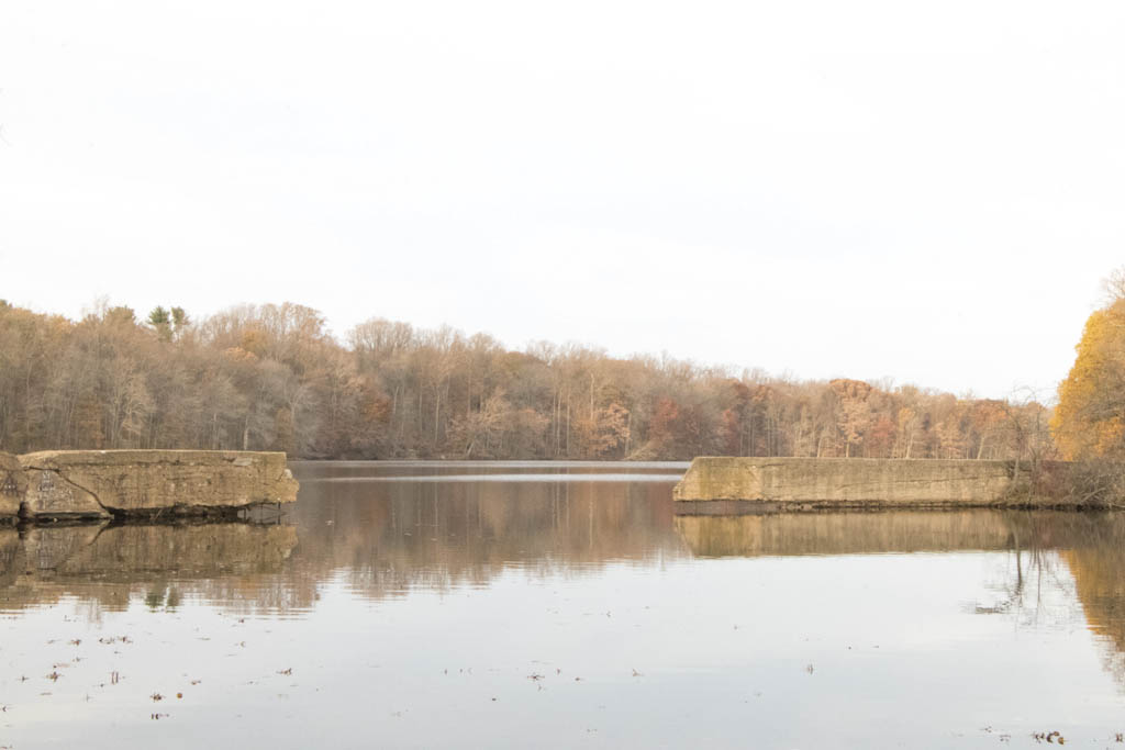 Farrington Lake cleanup at Bicentennial Park on April 15