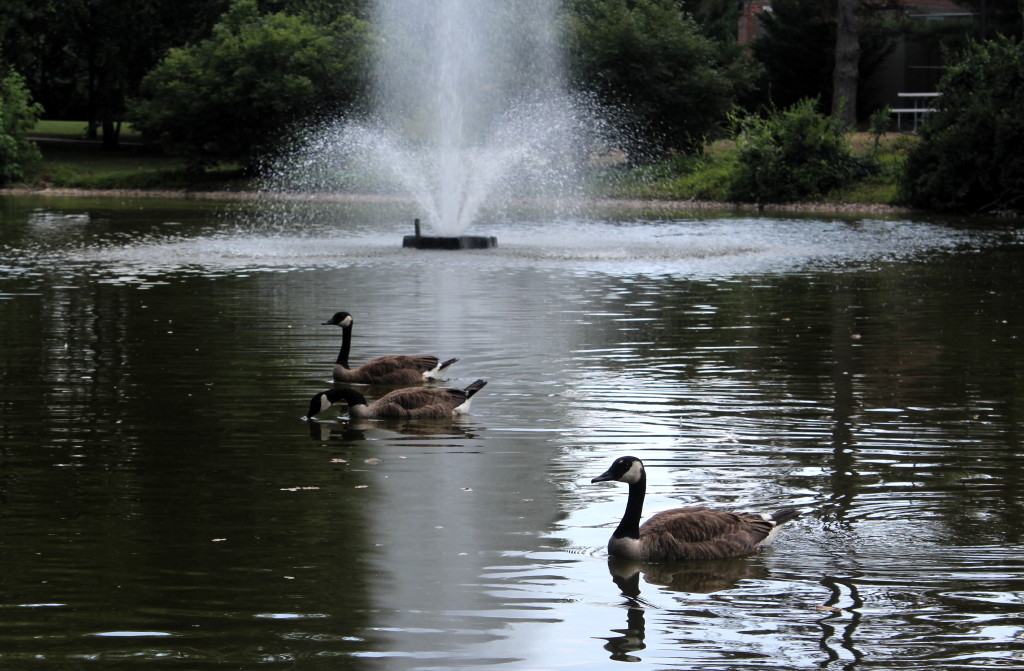 East Brunswick Municipal Complex photos