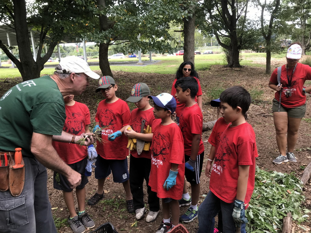 Cub Scout Pack 223 pull weeds, plant bulbs at Rutgers Gardens