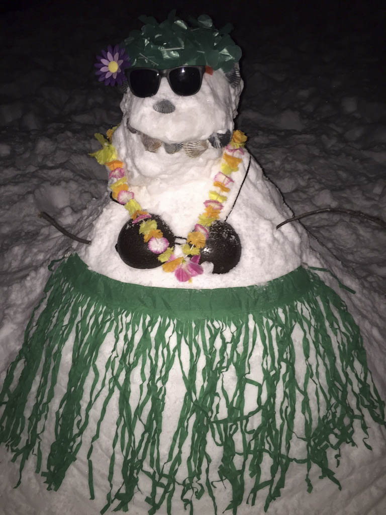 Hula dancer to accompany Hawaiian band