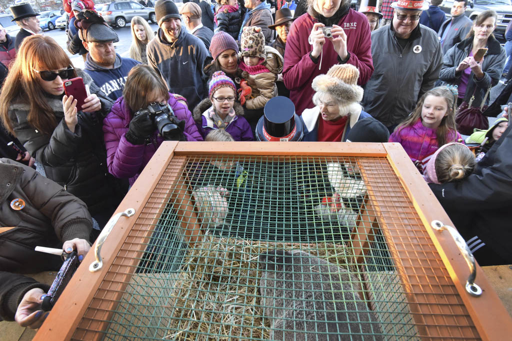 Rabid groundhog found in South Brunswick