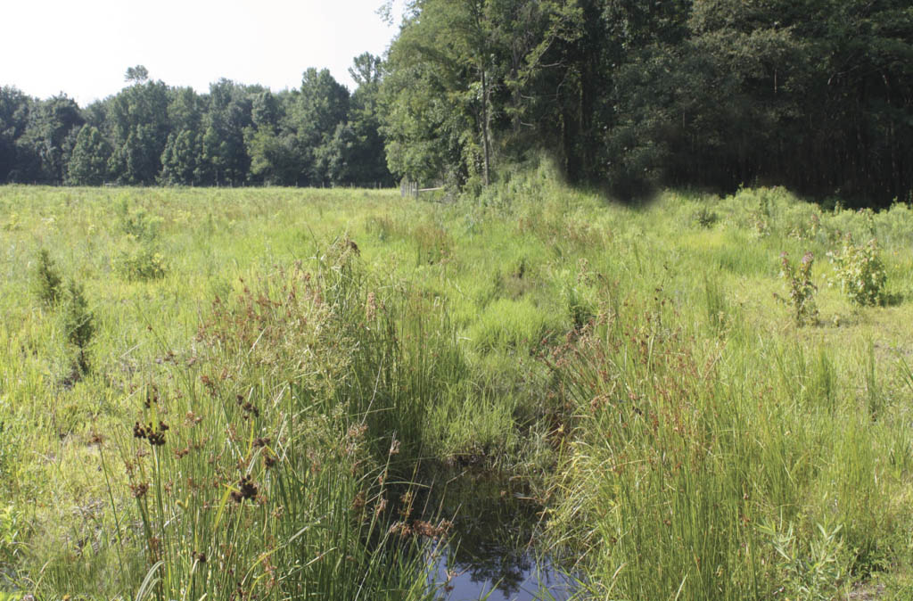 Former farm land will soon become open space in Monroe