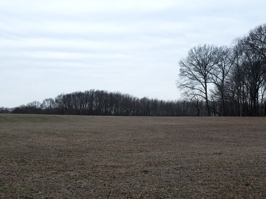 Monroe officials contribute to preservation of 37-acre property