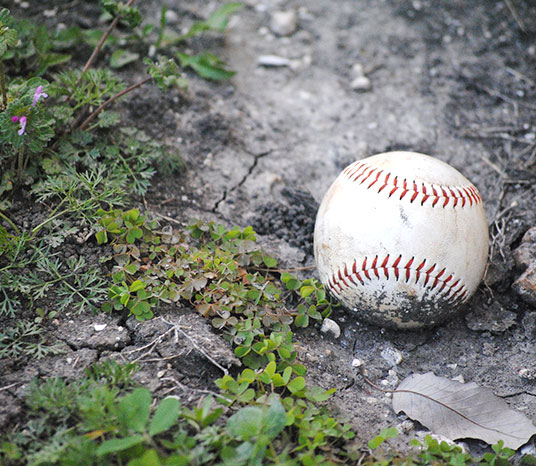 Freehold Township 13U baseball team plays tonight in state tournament