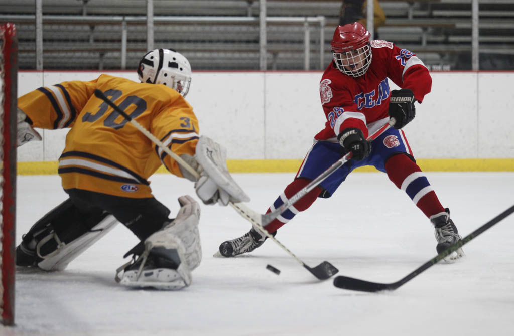 Potential ice hockey team debated in Sayreville