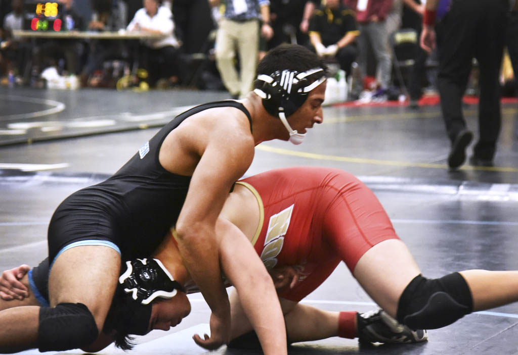 Bears’ Schleifer among top wrestlers at District 20 tourney