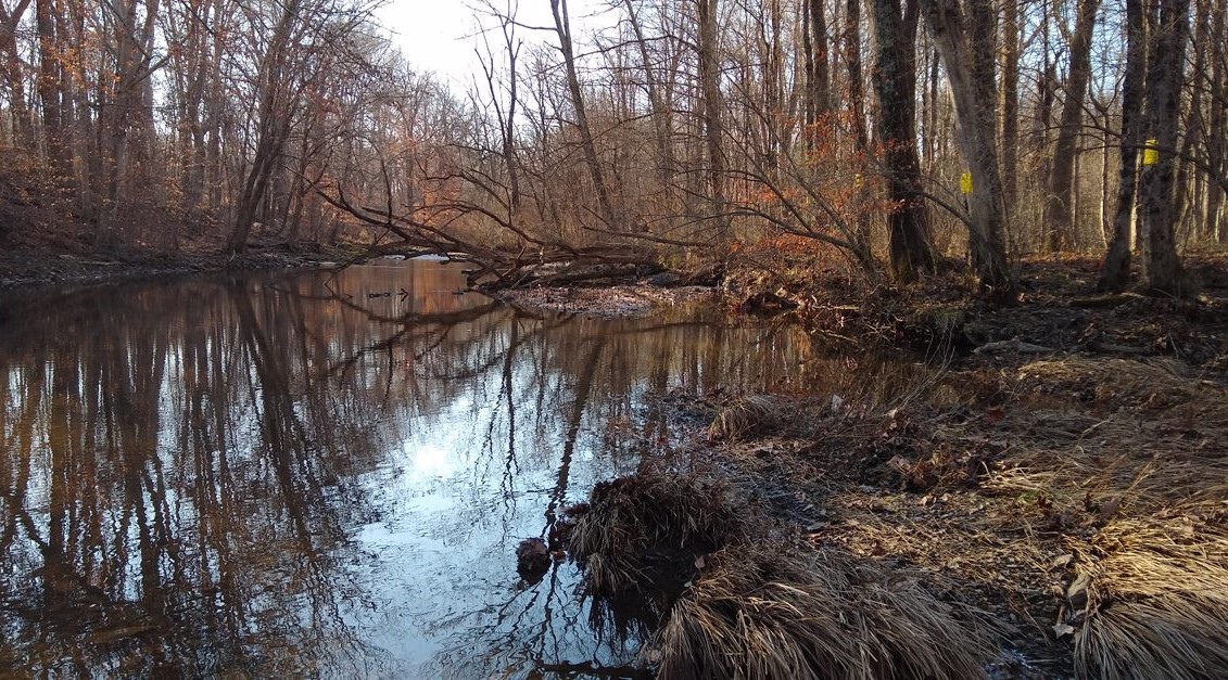 D&R Greenway preserves 315th property since its founding three decades ago