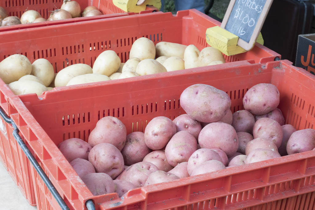 White nights and black potatoes: Remembering winters in rural Madison Township in the 1950s