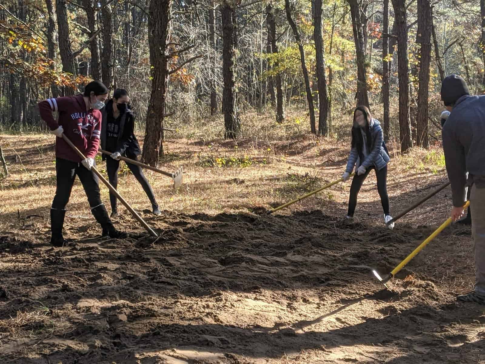 Volunteers clear trails at John A. Phillips Park