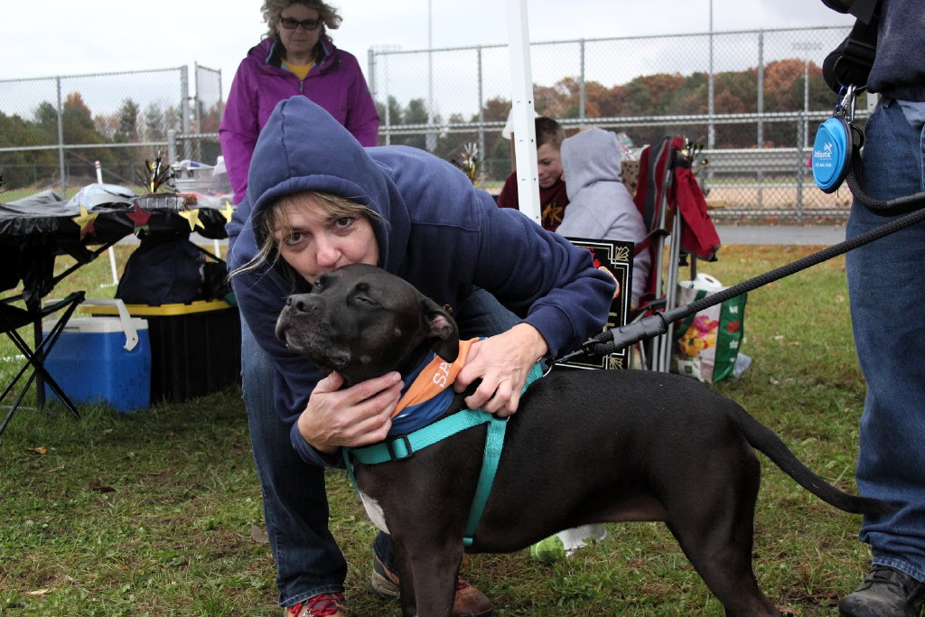 Sammy’s Hope to hold handbag bingo on Sept. 7 to benefit homeless animals