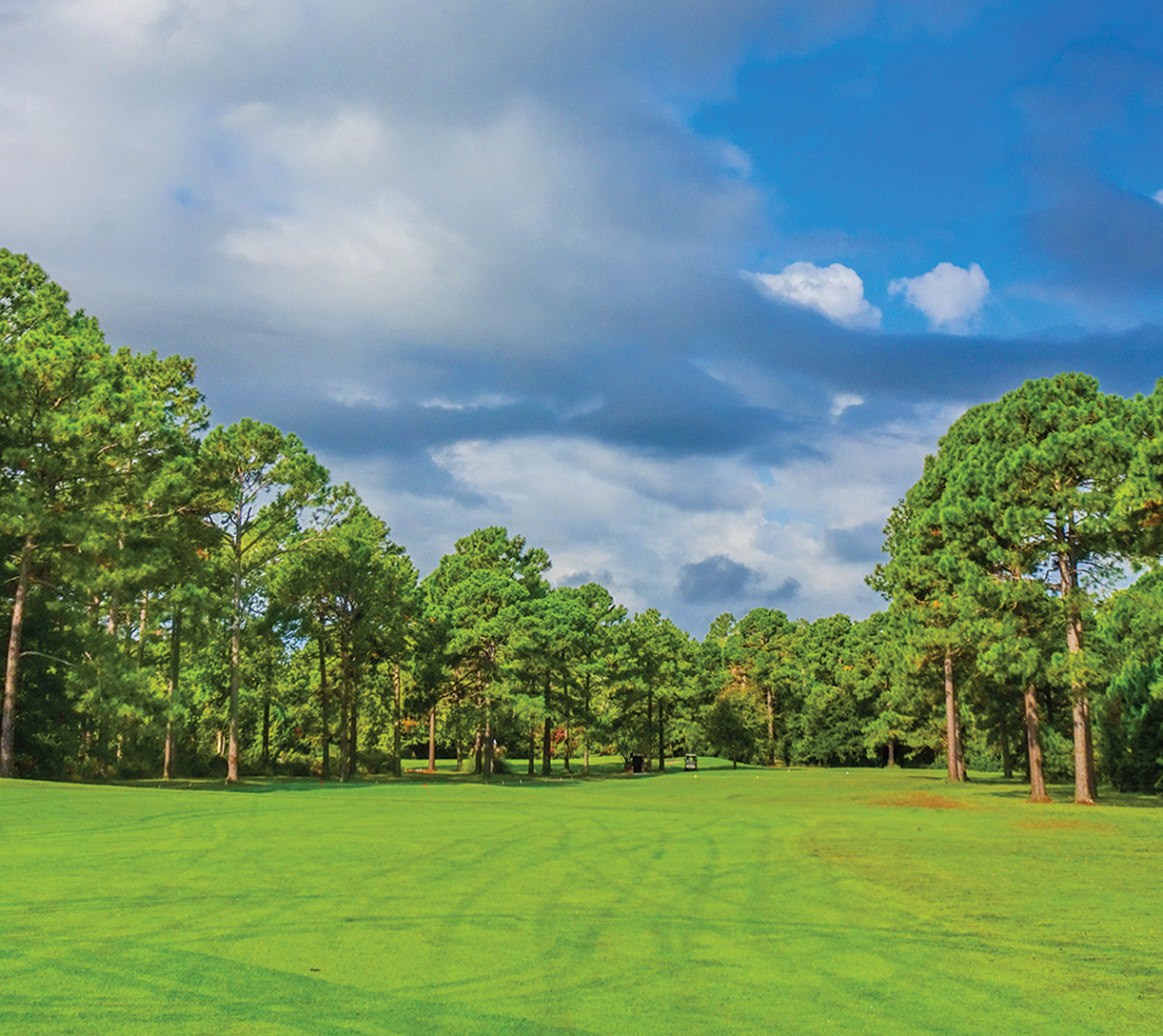 Chief Francis Lee Memorial, Northern Community Park receive county funding