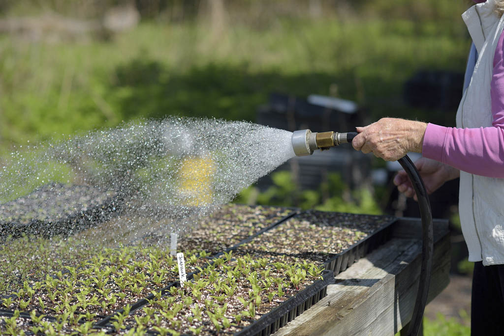 Free seedling distribution at East Brunswick Recycling Center on April 14