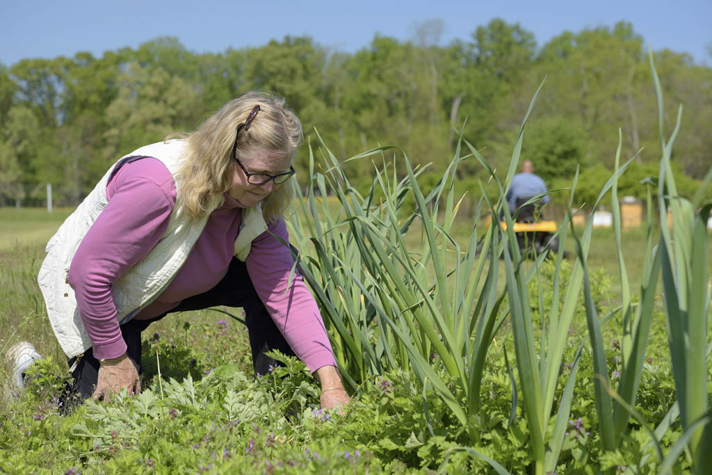 East Brunswick farm gets new welcome area