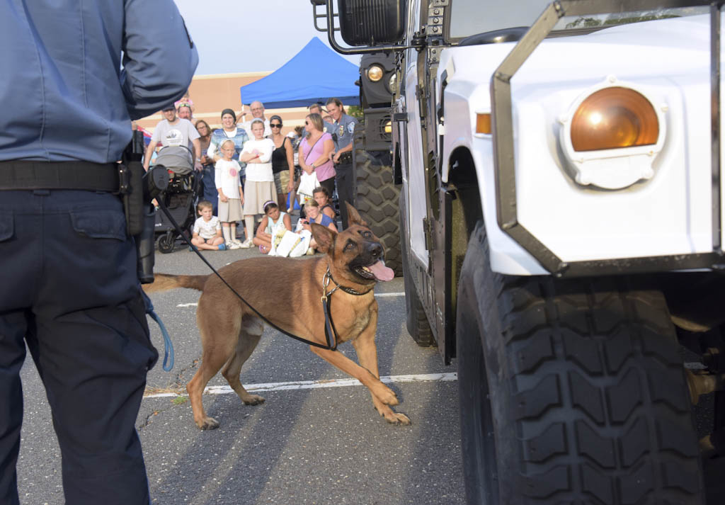 ‘Hero Dog Park’ on track in south Lawrence despite not winning nationwide grant contest