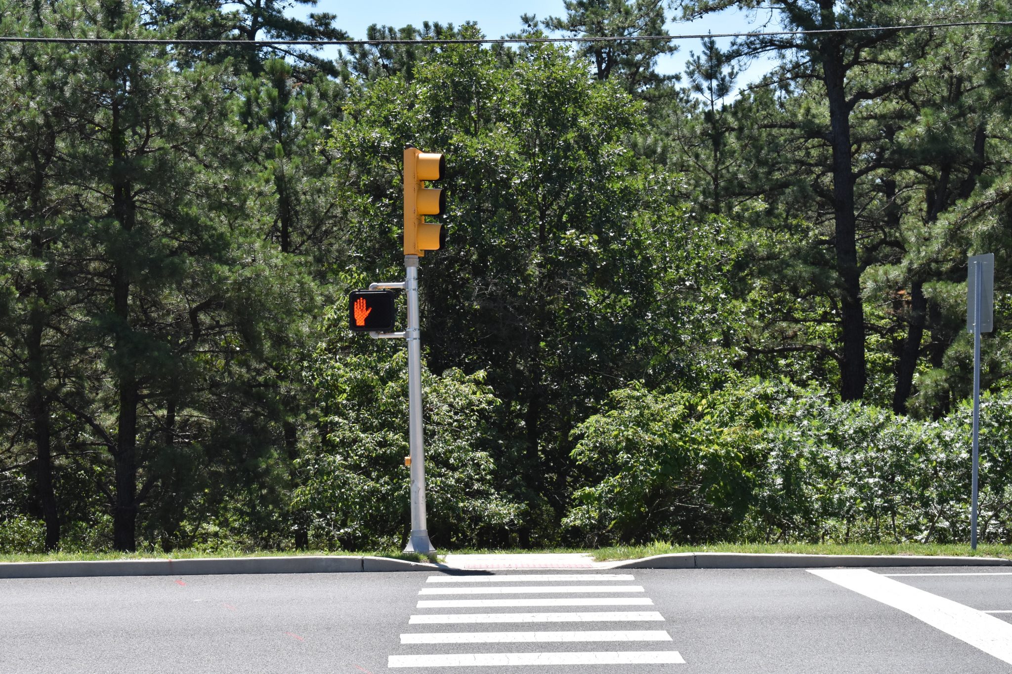 Residents want pedestrian safety measures on Rosedale Road after fatality