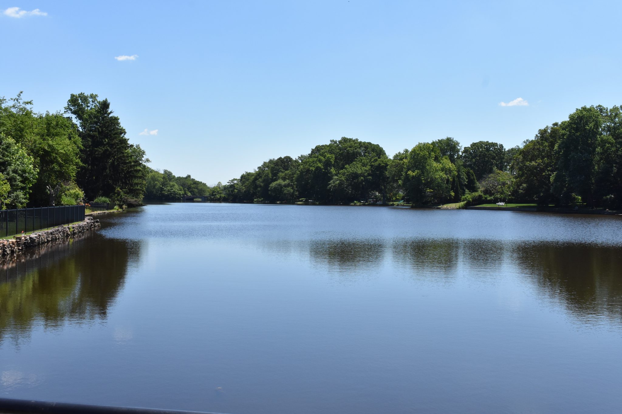 Princeton Hydro to perform herbicide treatment at Brainerd Lake