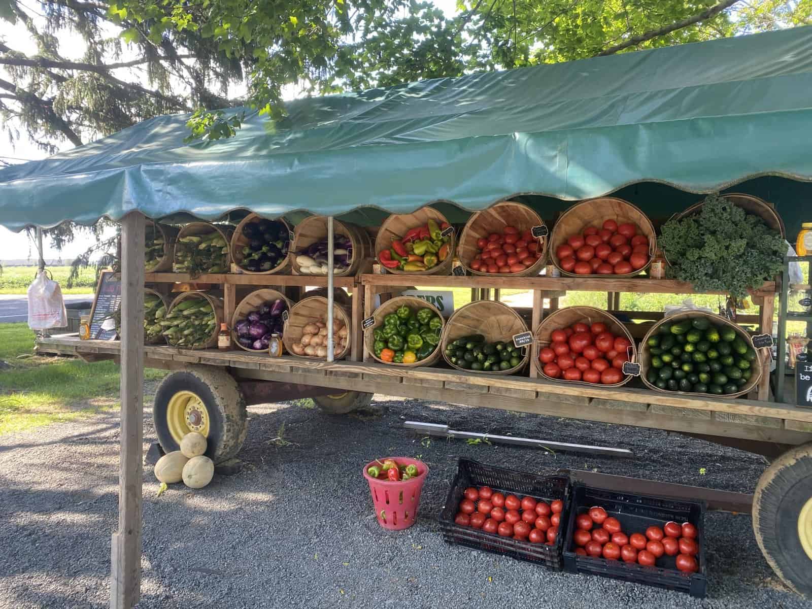 Burlington County offers farmer’s market vouchers to qualifying seniors