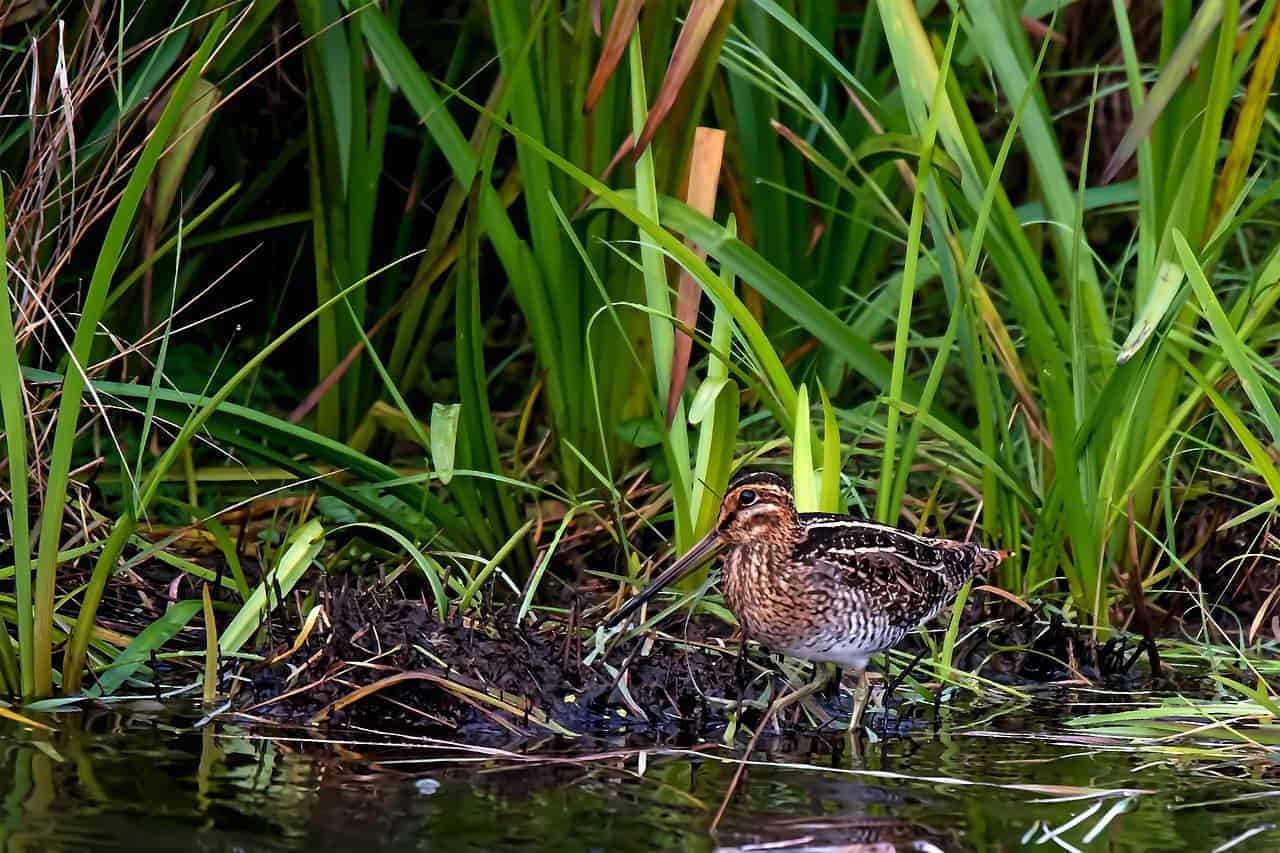 Reforms needed to protect our public lands