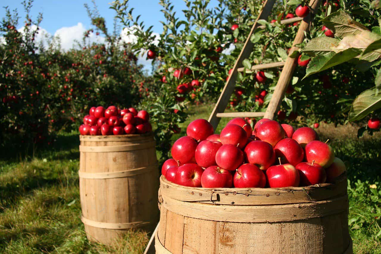 Glean with State Sen. Troy Singleton