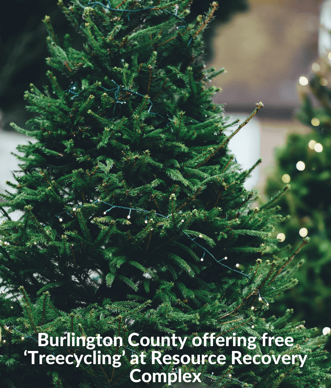 Burlington County offers Christmas ‘Treecycle’ to start an ‘environmentally friendly’ new year