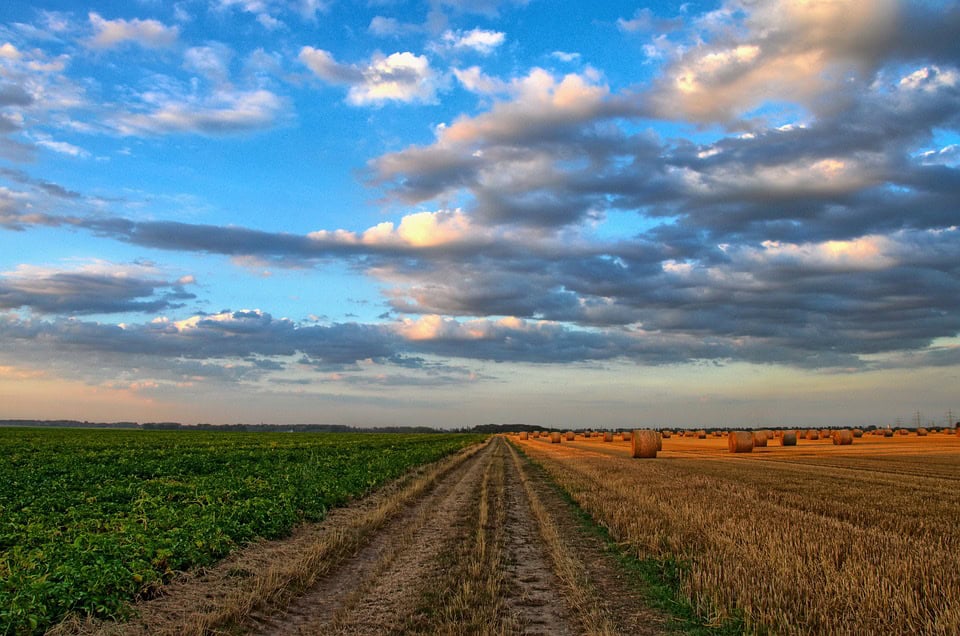 Preserving farmland