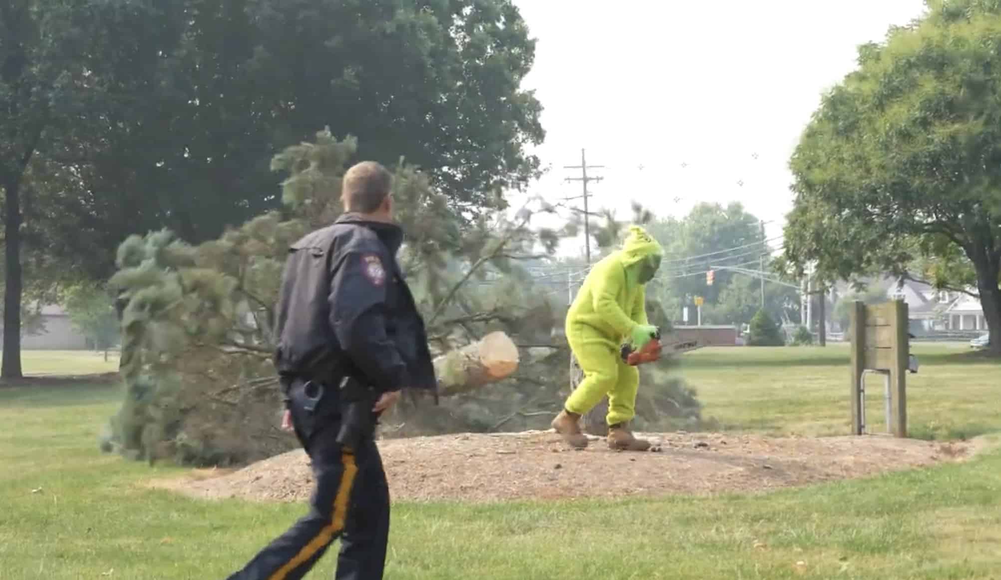 Hillsborough residents can ‘save Christmas’ in tree contest