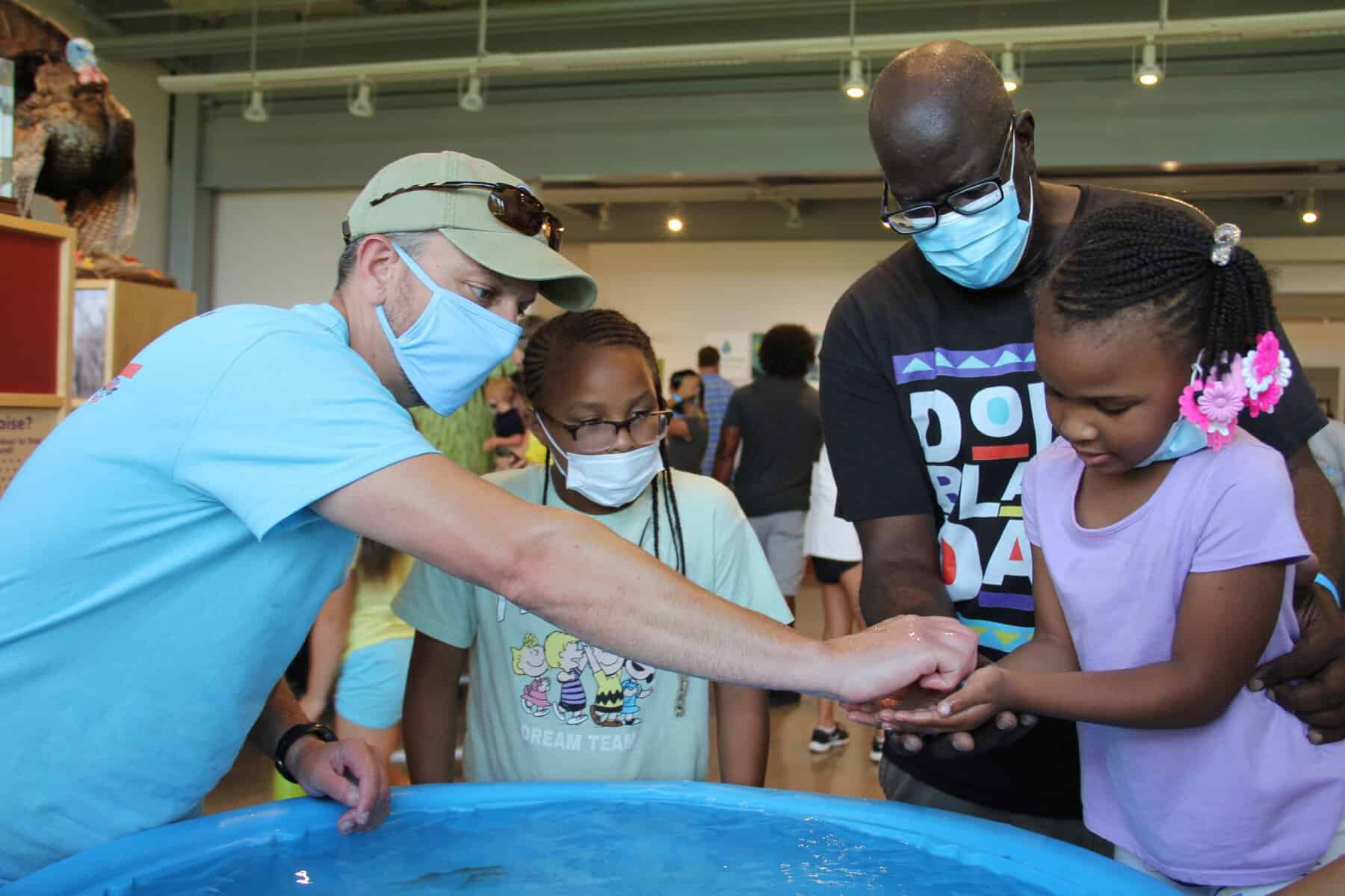 Annual Watershed Butterfly Festival returns Aug. 5