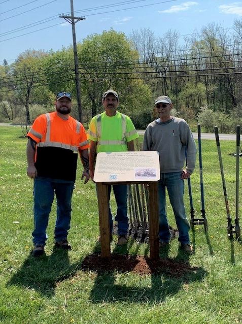 A Salem Oak seedling grows in Woolsey Park