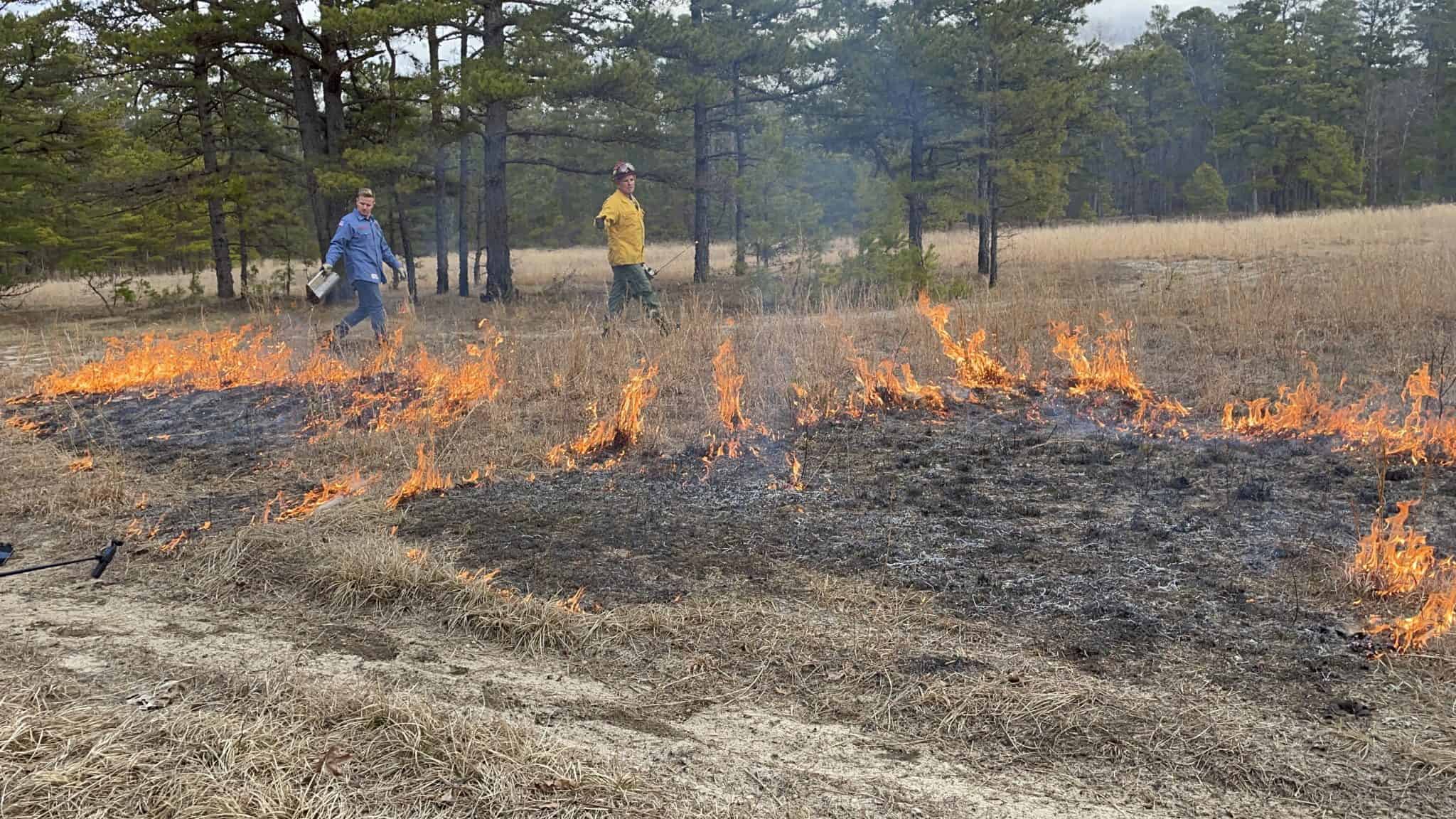 DEP sets goal to ‘prescribe burn’ 25,000 acres of state forest