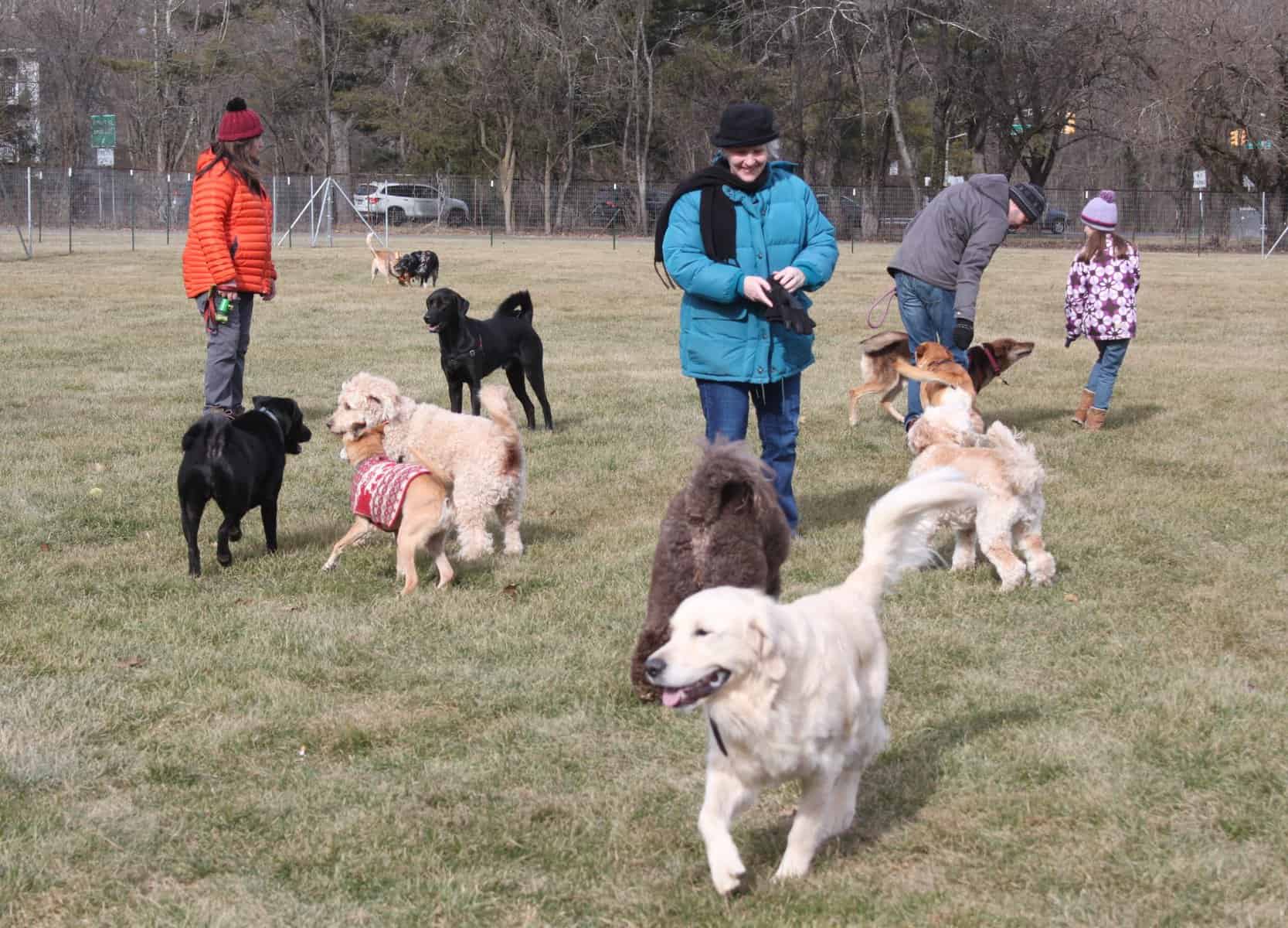 Princeton opens its official first dog park